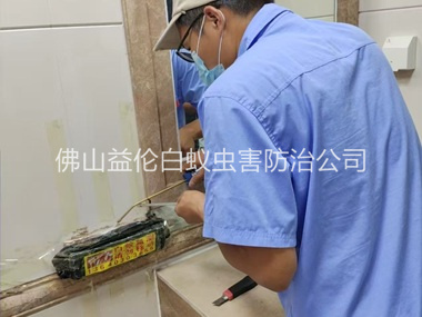顺德诱杀箱施药灭杀白蚁工程