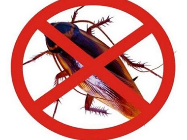 南海杀虫治蟑螂公司杀灭蟑螂常用的方法