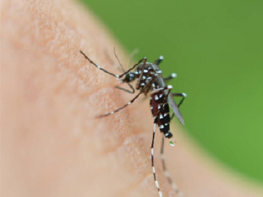 三水病媒有害生物防控公司——有些人为什么特别容易招蚊子咬